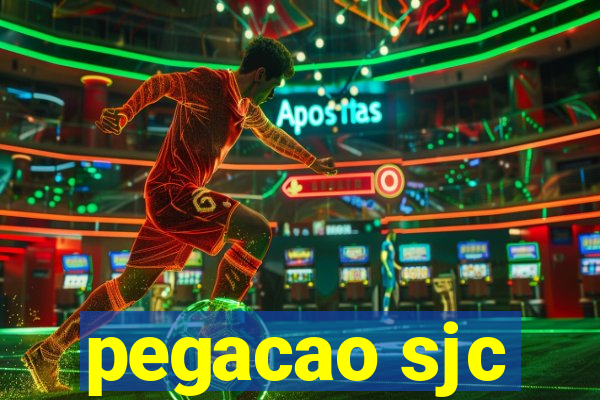 pegacao sjc